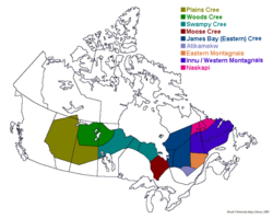 Can you speak your traditional language? 